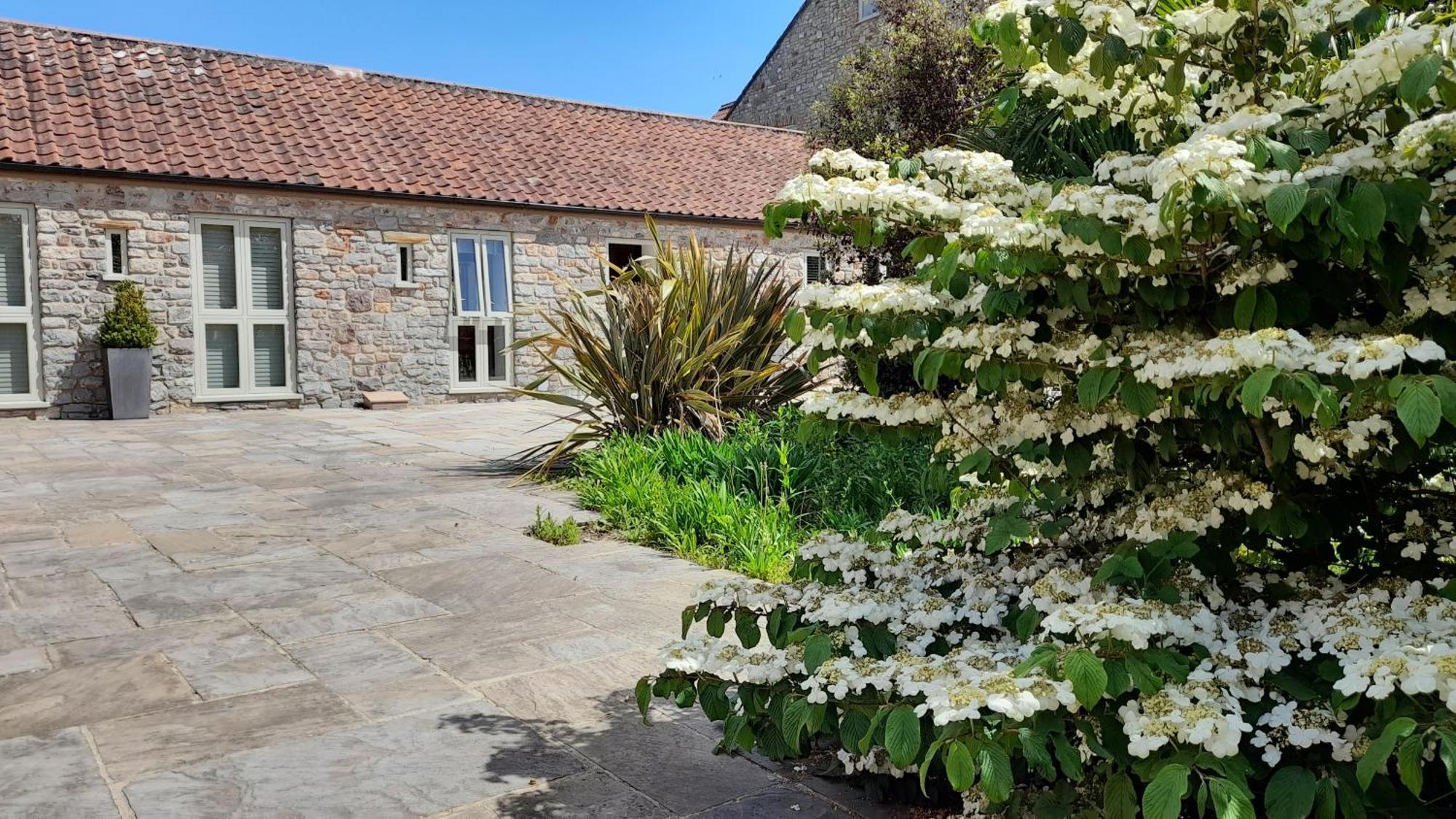 Luxury Barn Conversion Wells Exteriör bild